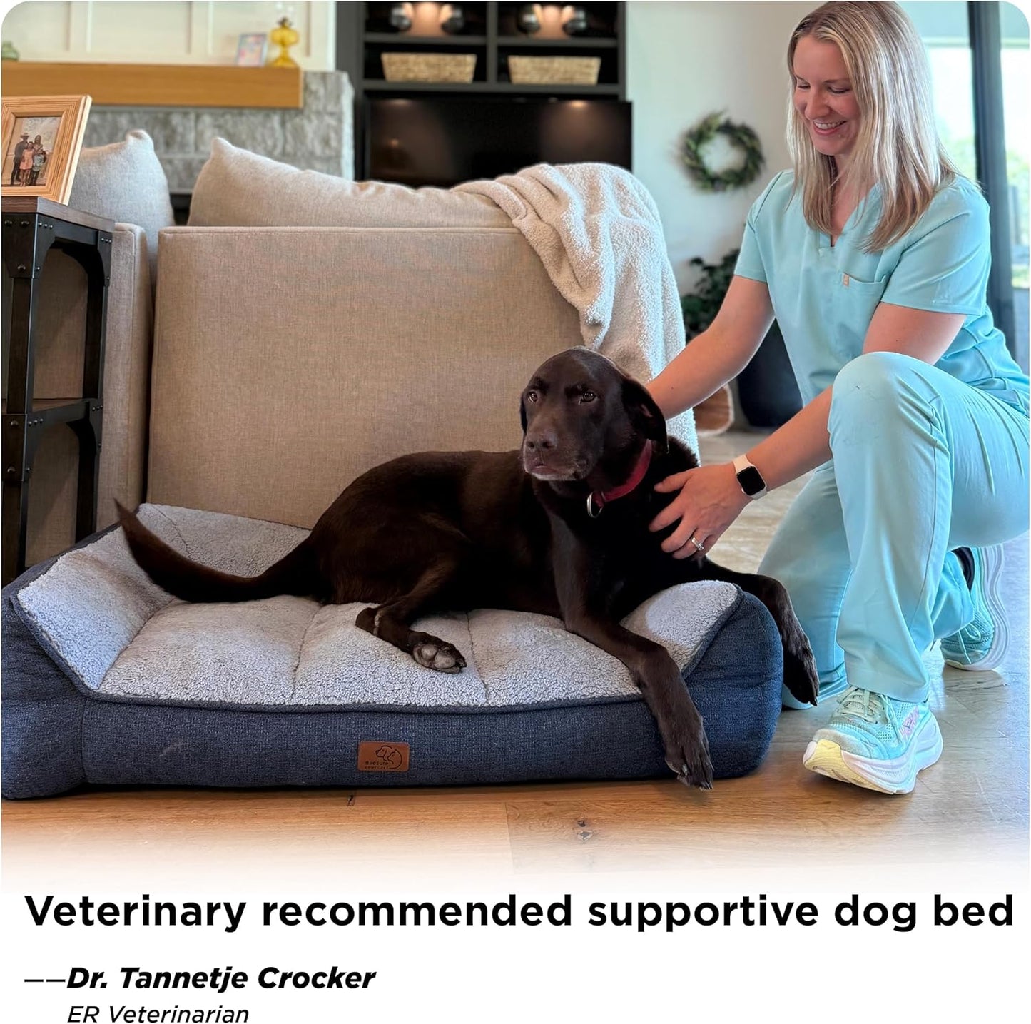 XL Orthopedic Dog Beds Large