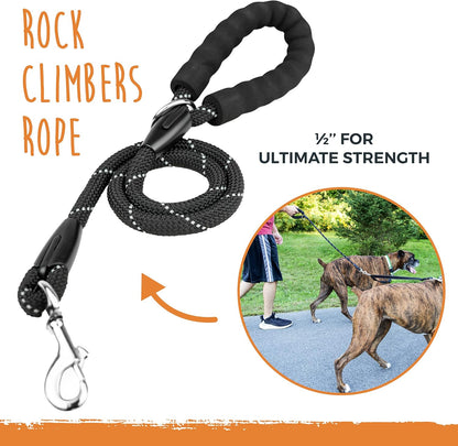 Dual Pet Leash with Comfort Grip