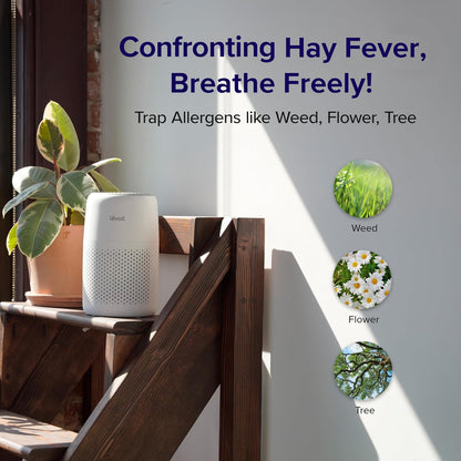  Quiet Air Purifier
