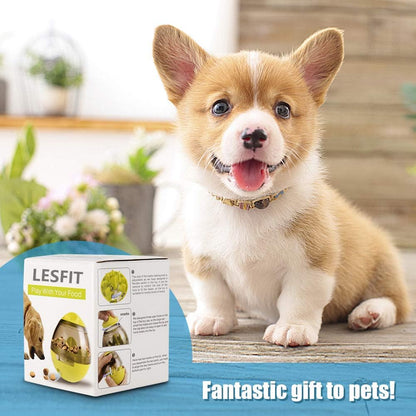 Interactive Dog Toys: Enrichment IQ Treat Dispenser Ball