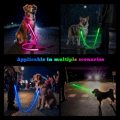 Rechargeable LED Pet Leash with 7 Lighting Modes
