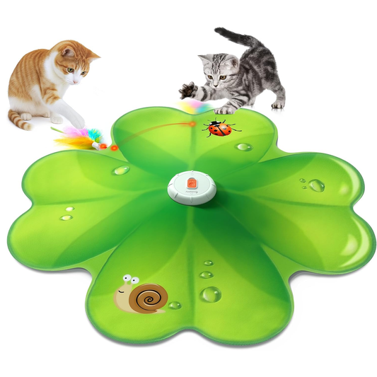 Rechargeable Interactive Cat Toy