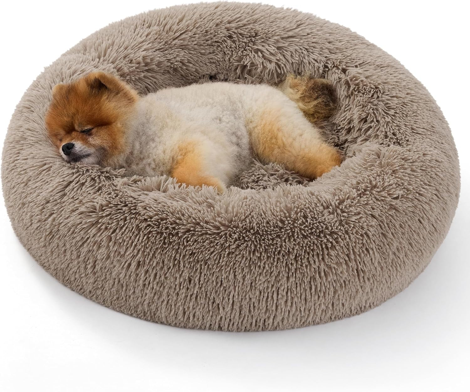 Large Cat Donut Bed
