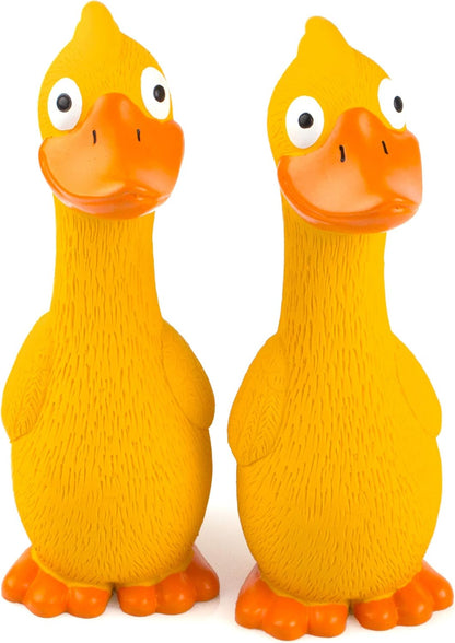 Interactive Assorted Squeaky Puppy Toy Set