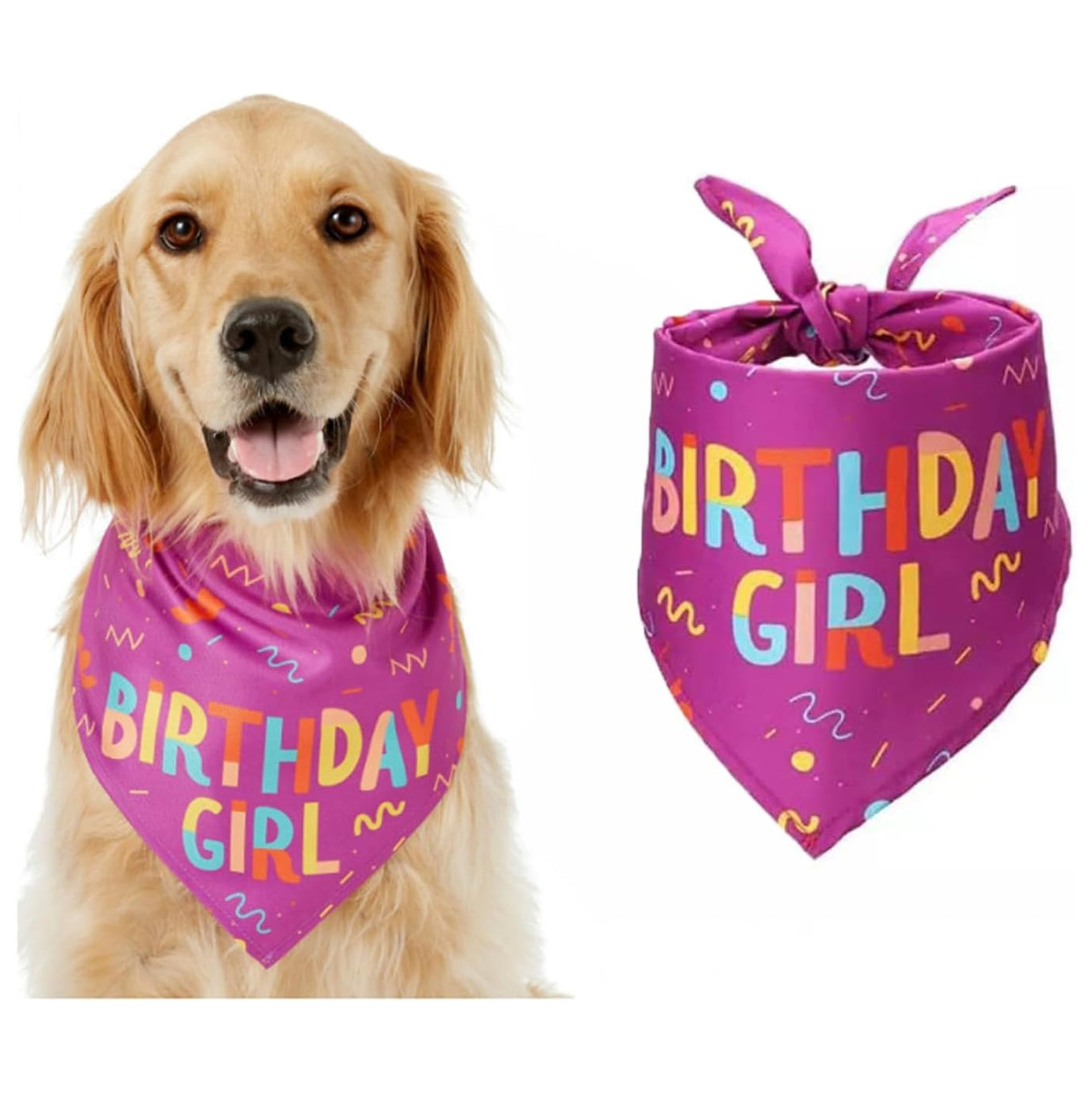 Birthday Dog Bandana