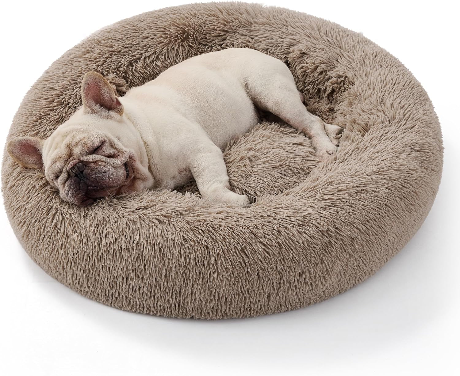 Large Cat Donut Bed