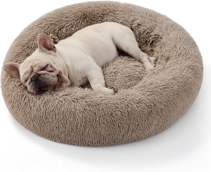 Large Cat Donut Bed